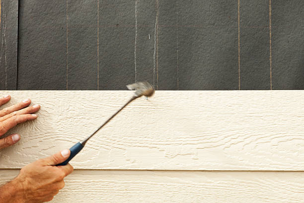 Best Custom Trim and Detailing for Siding  in Longboat Key, FL